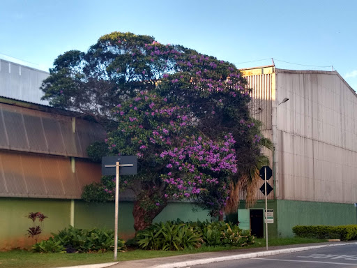 Hotéis e Pousadas com Hidro (Jacuzzi) em Barreiro, Minas Gerais 2025