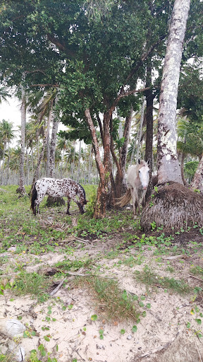 Hotéis e Pousadas com Hidro (Jacuzzi) em Morere, Bahia 2025