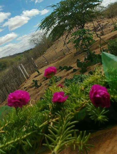 Hotéis e Pousadas com Hidro (Jacuzzi) em Camalaú, Paraíba 2025