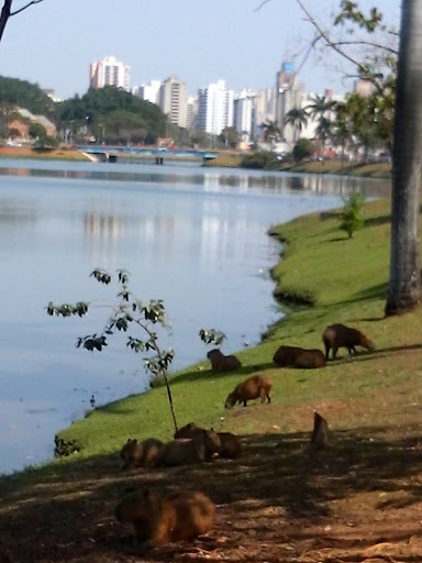 Hotéis e Pousadas com Hidro (Jacuzzi) em São José do Rio Preto, São Paulo 2025