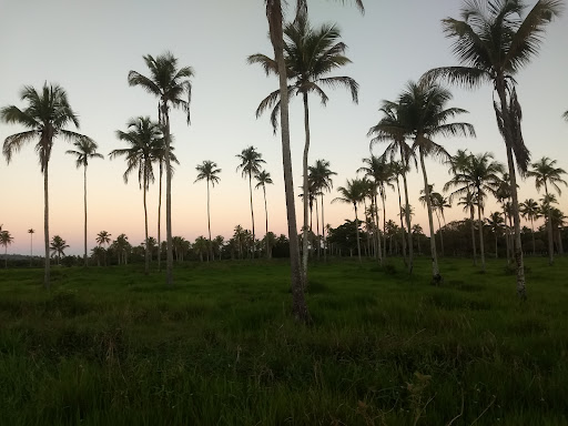 Hotéis e Pousadas com Hidro (Jacuzzi) em Santa Luzia, Alagoas 2025
