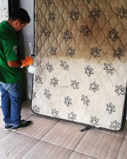 Hotéis e Pousadas com Hidro (Jacuzzi) em Lavagem, Ceará 2025