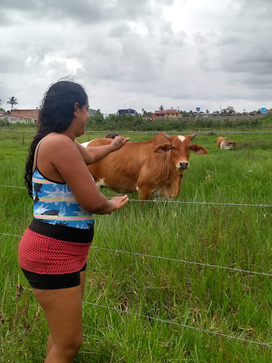 Hotéis e Pousadas com Hidro (Jacuzzi) em Passo de Camarajibe, Alagoas 2025