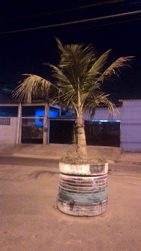 Hotéis e Pousadas com Hidro (Jacuzzi) em Coqueiros, Rio de Janeiro 2025