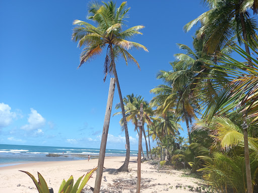 Hotéis e Pousadas com Hidro (Jacuzzi) em Taipu, Bahia 2025